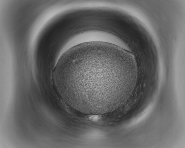 X0000113070050200909041106