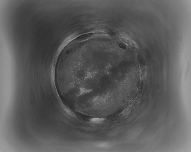 X0000113070051200909041106