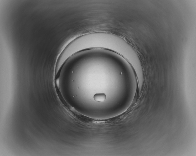 X0000113070052200909041106