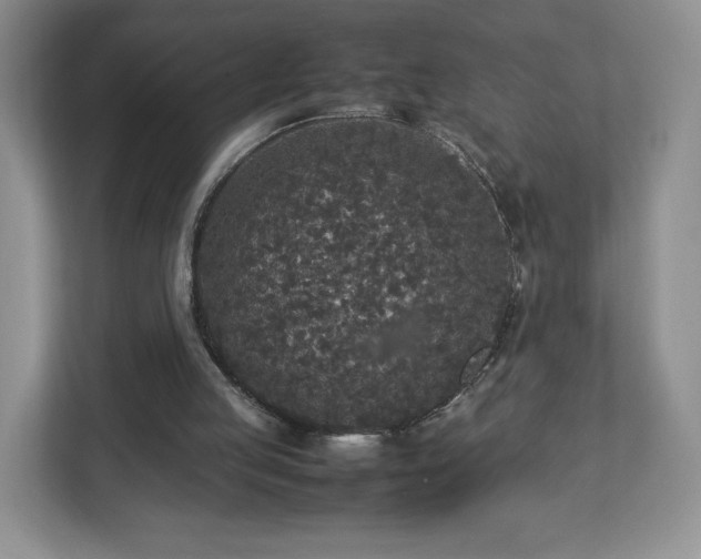 X0000113070053200909041106