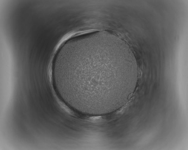 X0000113070054200909041106