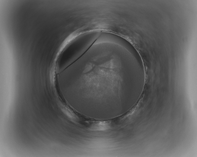 X0000113070056200909041106