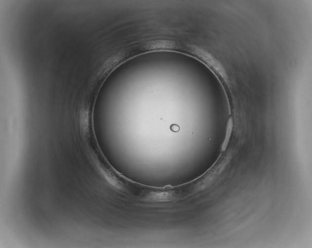 X0000113070057200909041106