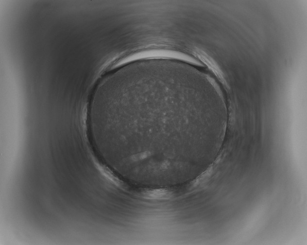 X0000113070058200909041106