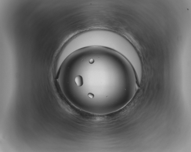 X0000113070060200909041106