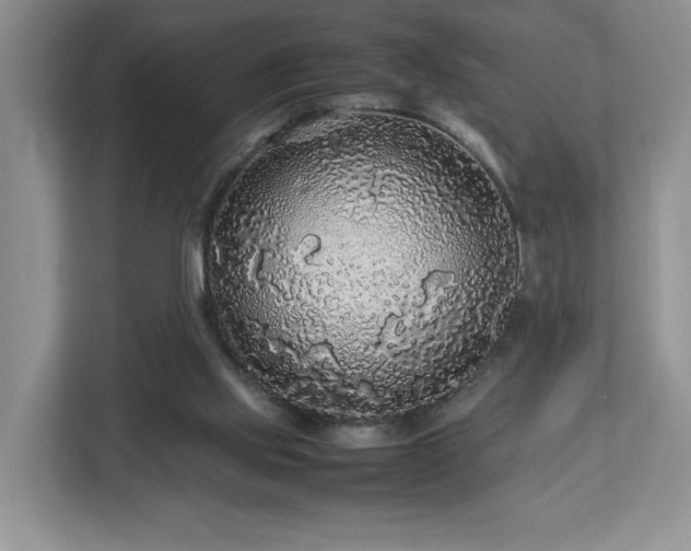 X0000113070061200909041106