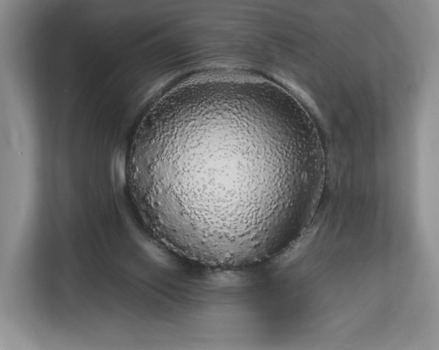 X0000113070062200909041106