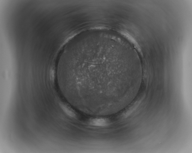 X0000113070063200909041106