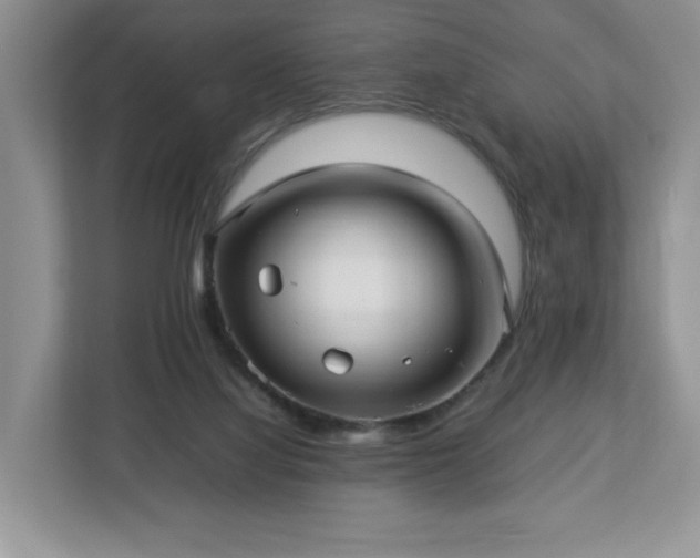 X0000113070068200909041106