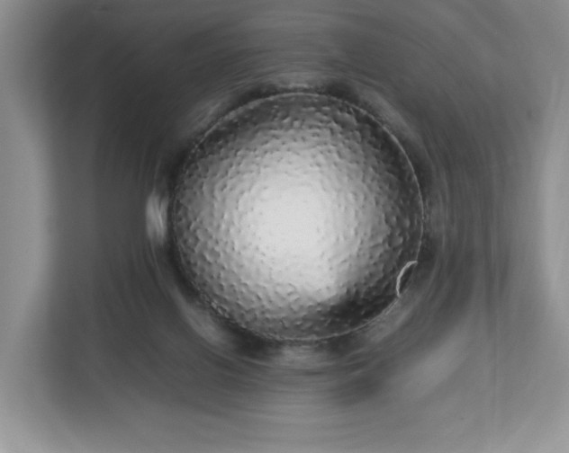 X0000113070070200909041106