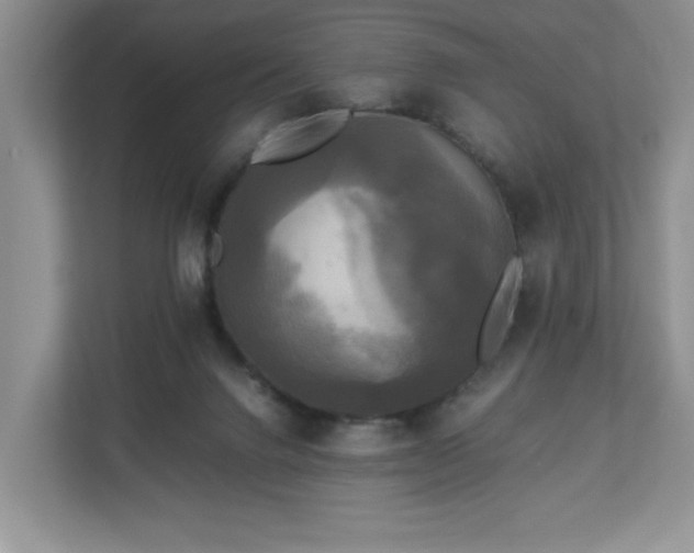 X0000113070072200909041106