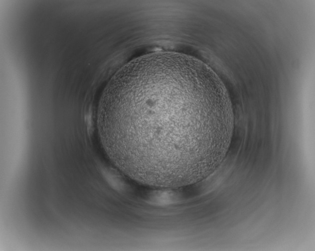 X0000113070074200909041106