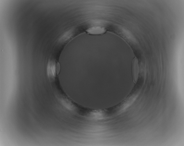 X0000113070076200909041106