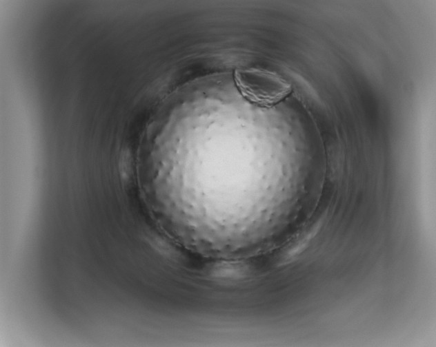 X0000113070077200909041106