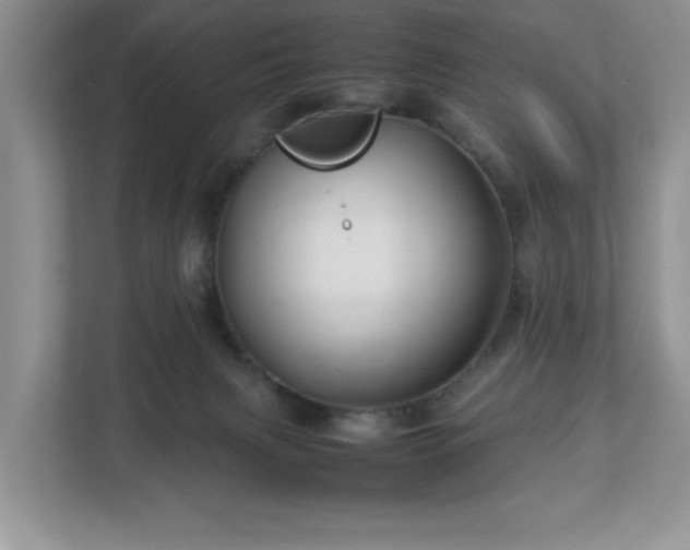 X0000113070079200909041106