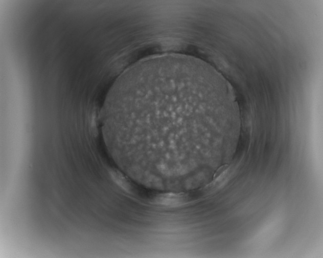 X0000113070082200909041106