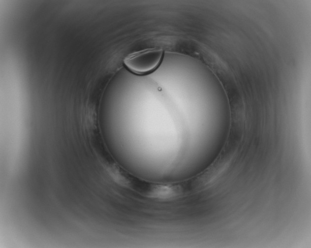 X0000113070083200909041106