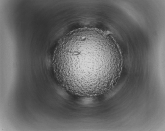 X0000113070085200909041106