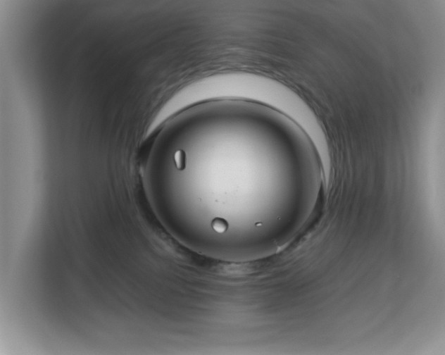 X0000113070088200909041106