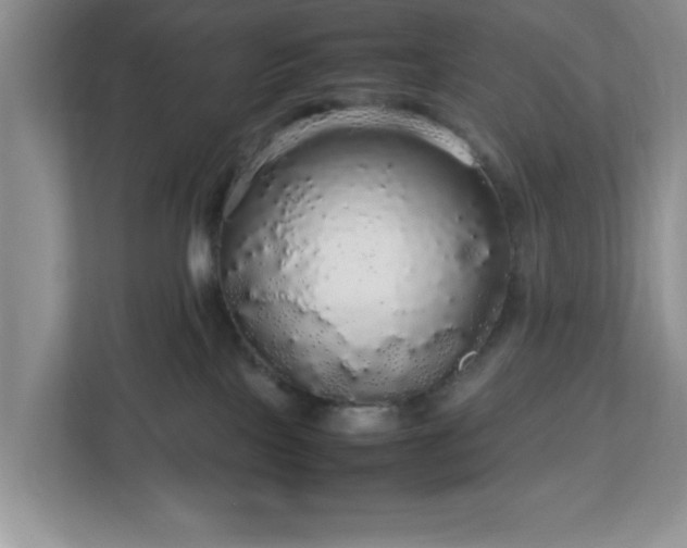 X0000113070089200909041106