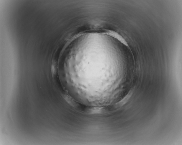 X0000113070090200909041106