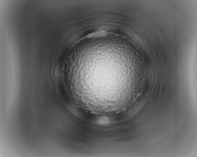 X0000113070091200909041106