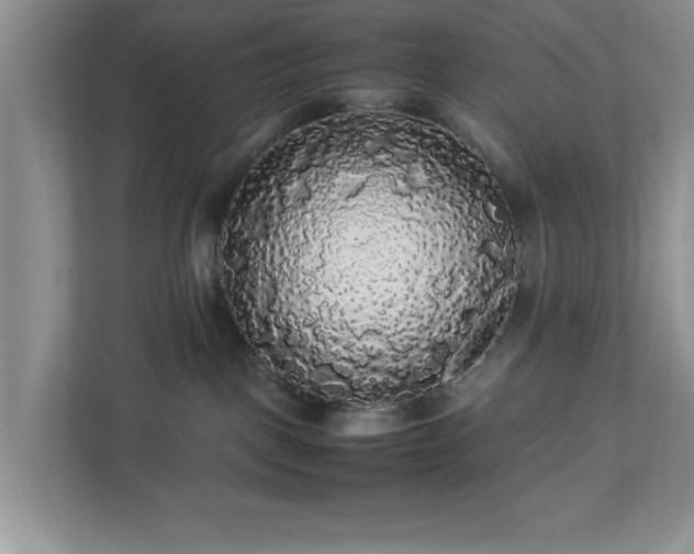 X0000113070093200909041106