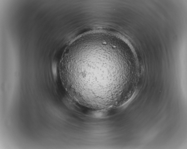 X0000113070094200909041106