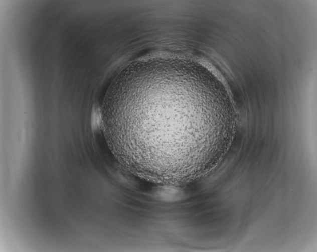 X0000113070095200909041106