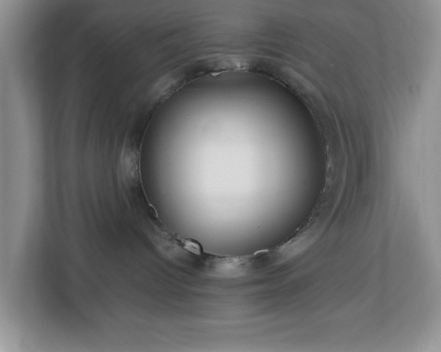 X0000113070096200909041106