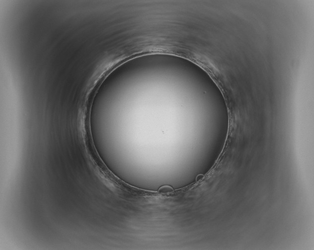 X0000113070098200909041106