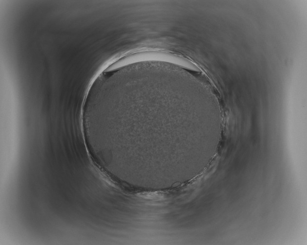 X0000113070100200909041106