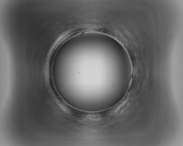 X0000113070101200909041106