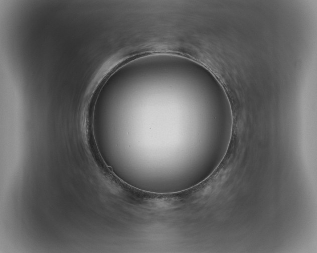 X0000113070103200909041106