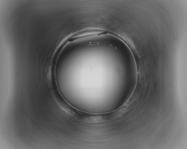 X0000113070108200909041106