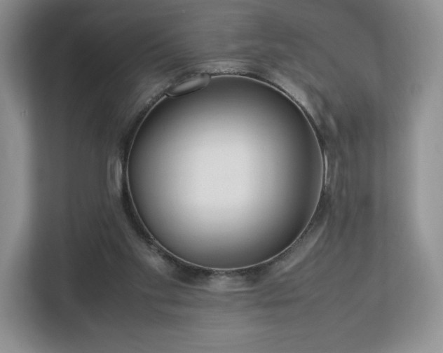 X0000113070109200909041106