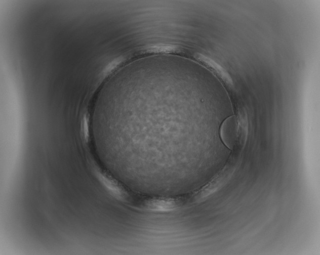 X0000113070110200909041106