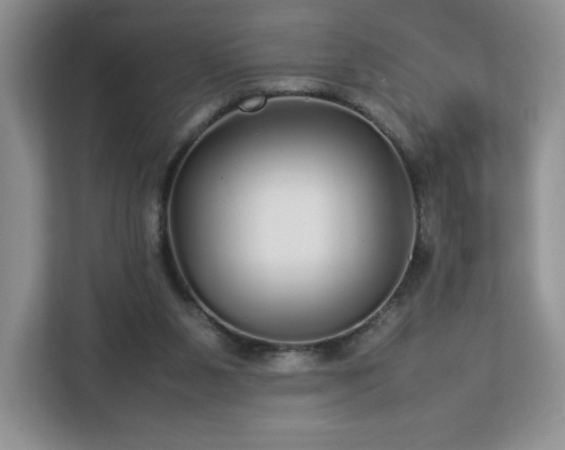 X0000113070111200909041106