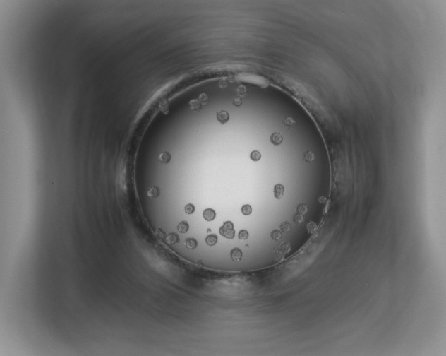 X0000113070112200909041105