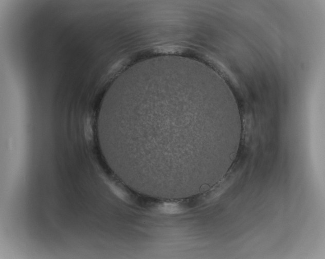 X0000113070114200909041105