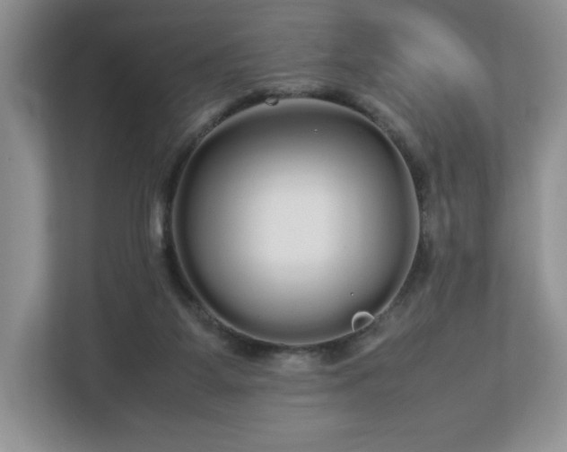 X0000113070115200909041105