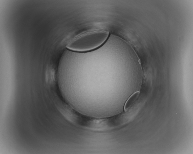 X0000113070117200909041105