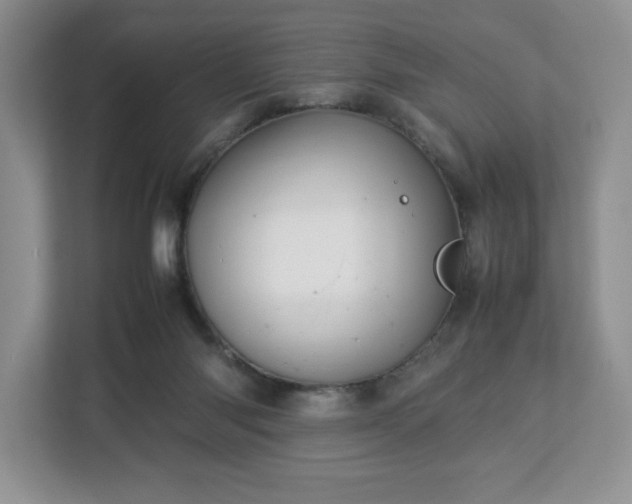 X0000113070118200909041105