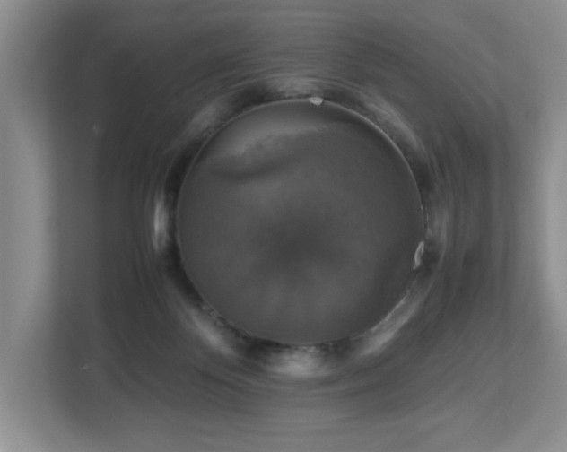 X0000113070124200909041105