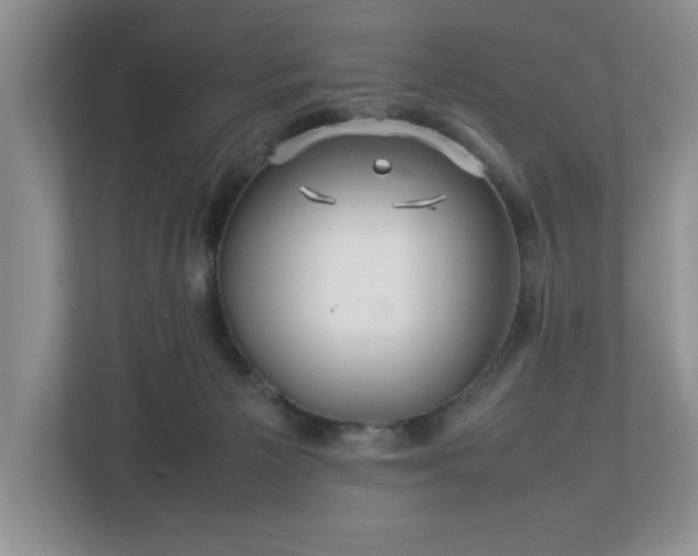 X0000113070125200909041105