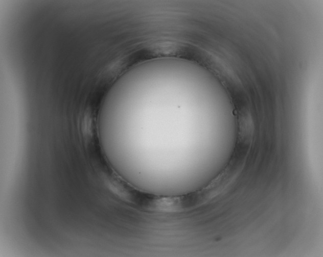 X0000113070126200909041105