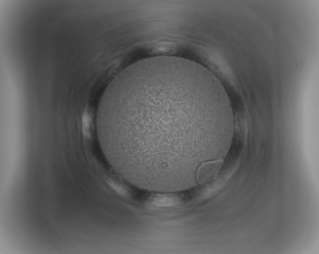 X0000113070127200909041105