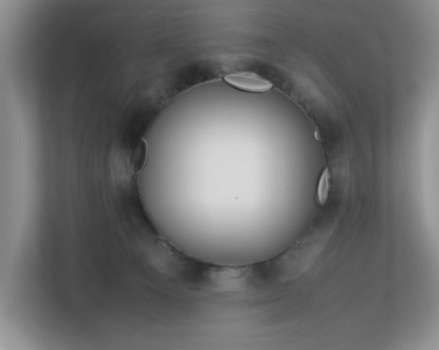 X0000113070129200909041105