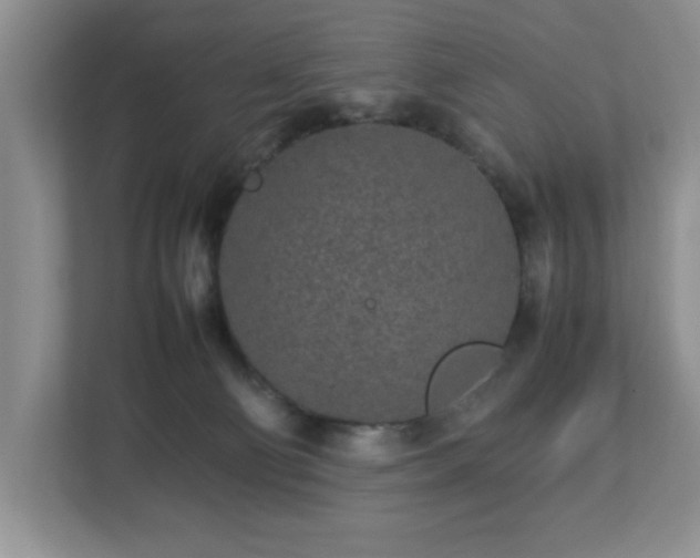 X0000113070130200909041105