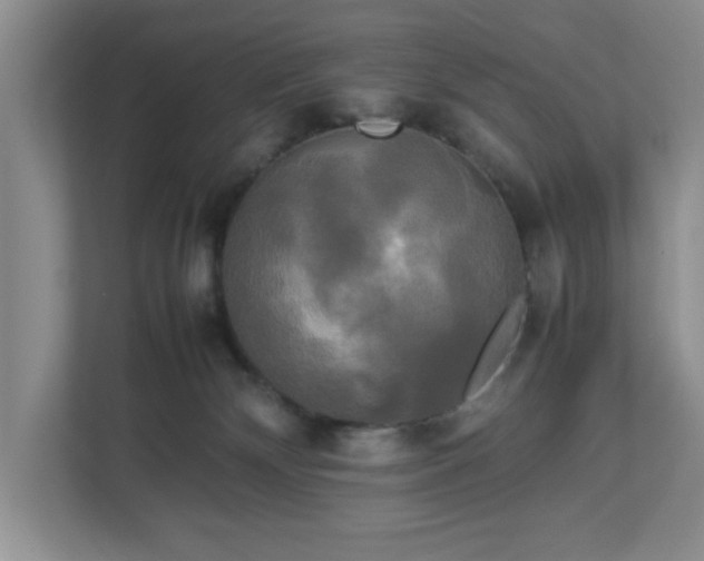 X0000113070132200909041105